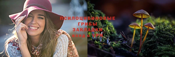 прущий лед Богородицк