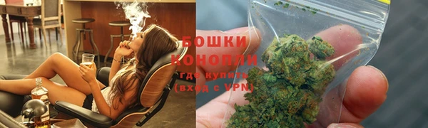 ПСИЛОЦИБИНОВЫЕ ГРИБЫ Богданович