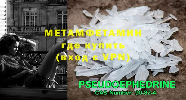 ПСИЛОЦИБИНОВЫЕ ГРИБЫ Богданович