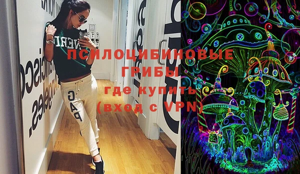 PSILOCYBIN Богородск