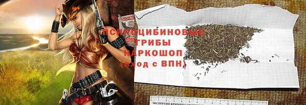PSILOCYBIN Богородск