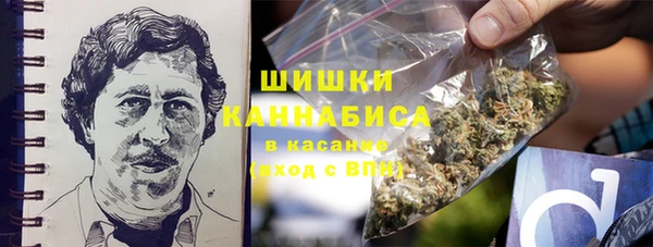 ПСИЛОЦИБИНОВЫЕ ГРИБЫ Богданович