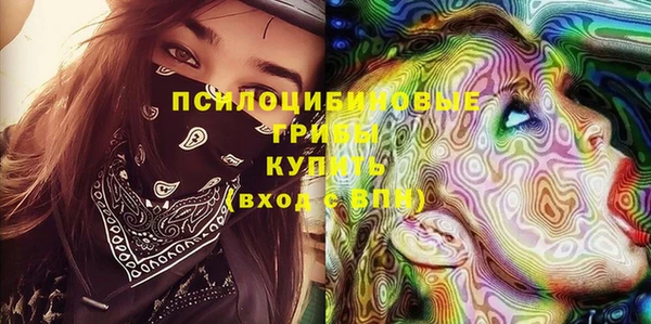 PSILOCYBIN Богородск