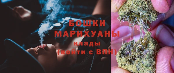 ПСИЛОЦИБИНОВЫЕ ГРИБЫ Богданович