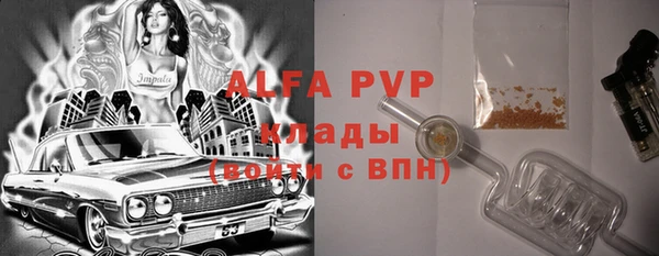 ПСИЛОЦИБИНОВЫЕ ГРИБЫ Богданович