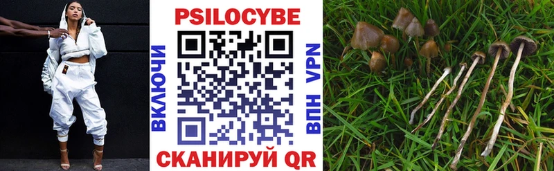 Галлюциногенные грибы Magic Shrooms  даркнет сайт  Мглин 